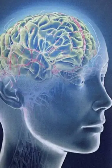 How to better train a person’s memory: exercises for training and developing memory