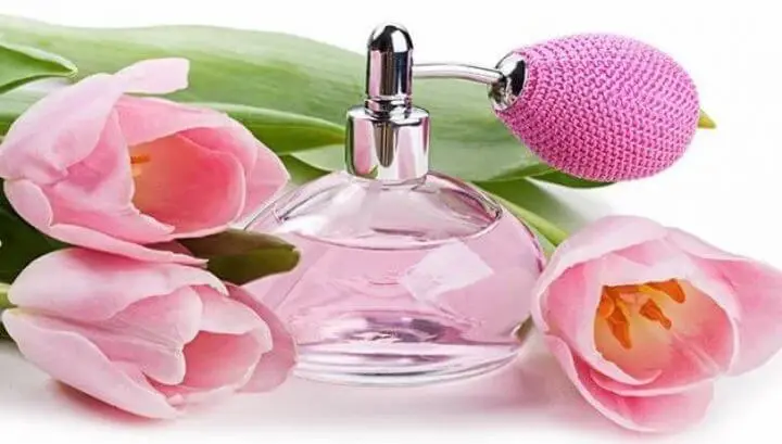 Perfume com feromônios: eles funcionam?