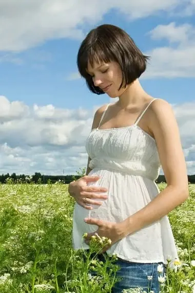 Ervas boas para a saúde das mulheres: que ervas beber para a saúde das mulheres