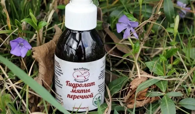 Mięta roślin leczniczych: zdjęcia, użyteczne właściwości ziół, przeciwwskazania, przepisy na stosowanie w medycynie tradycyjnej, preparaty lecznicze