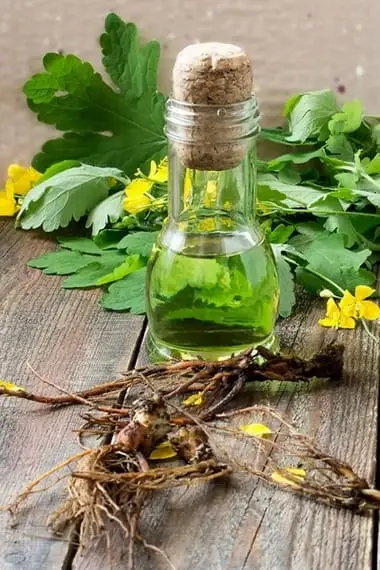 Лікування хвороб шлунка та кишечника народними засобами: найефективніші методи народної медицини